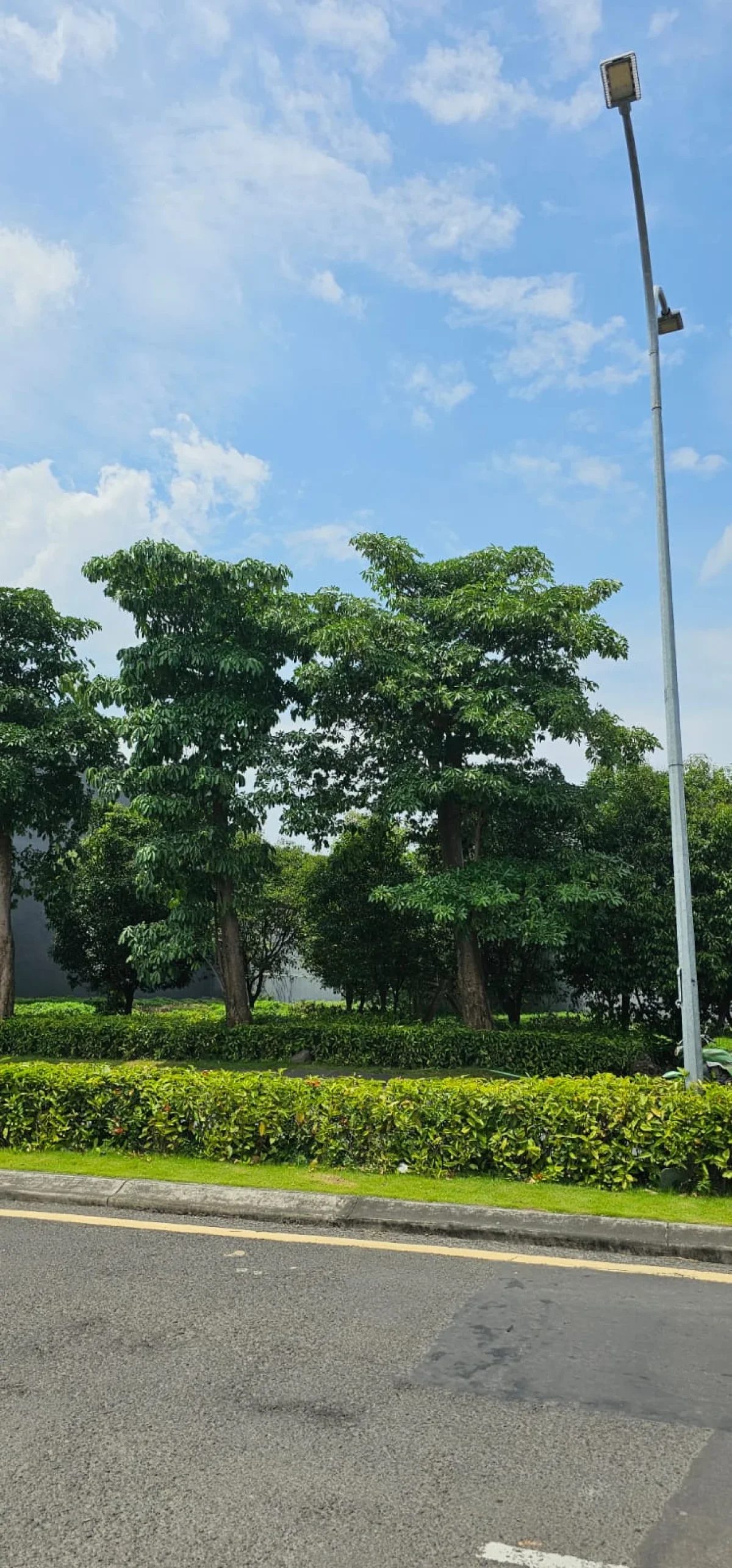 Disewakan Kavling Surabaya CitraLand  - Galeri 2