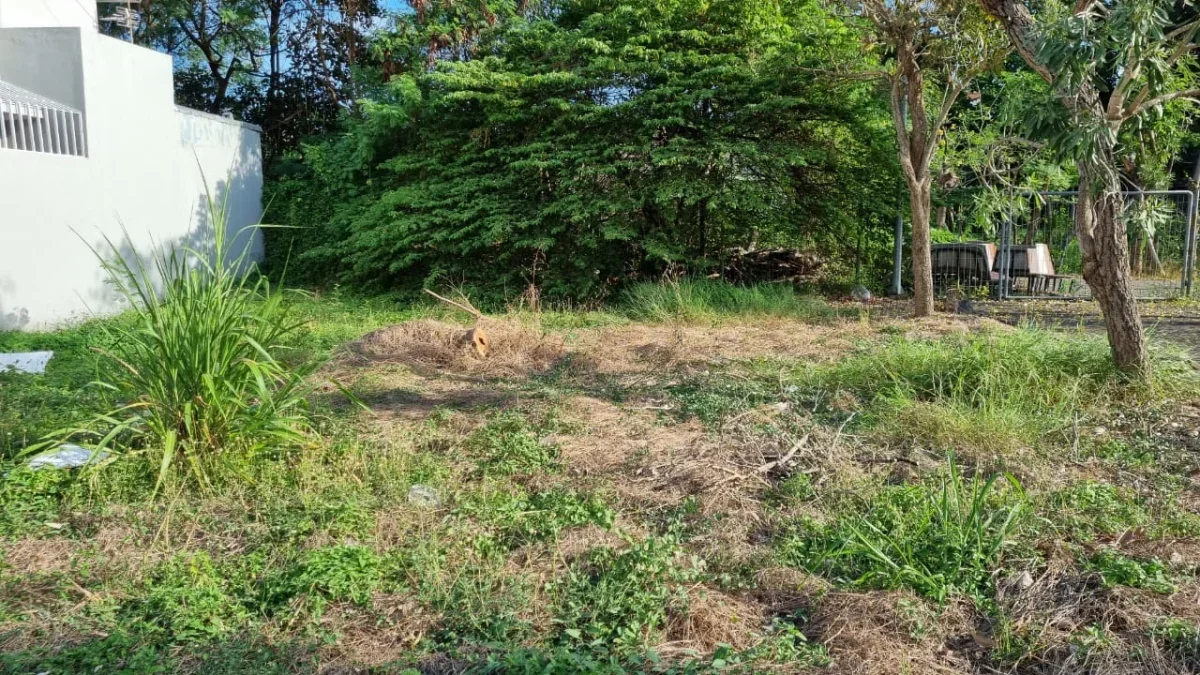 Tanah Kavling Citraland Surabaya Barat Model Bangun Bebas  - Galeri 3