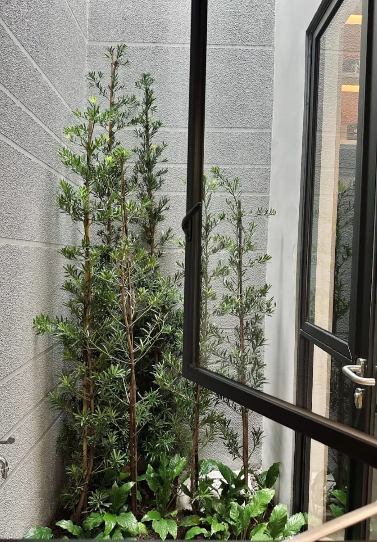 Rumah Surabaya Northwest Garden tipe Giana CitraLand - dekat Gwalk - Galeri 4