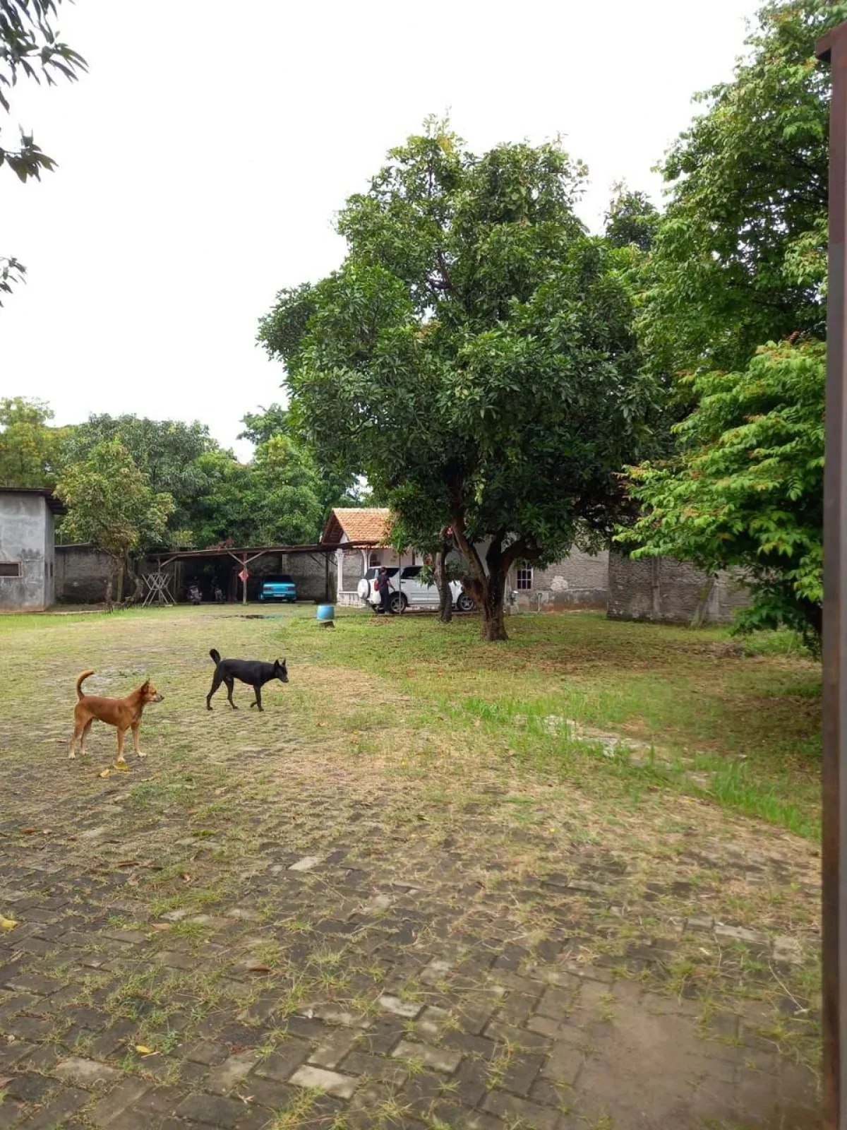 Tanah Batu Ceper - Tanggerang Banten - Galeri 3